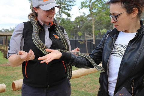 All-Inclusive Blue Mountains Day Trip With River Cruise - Stayed 37