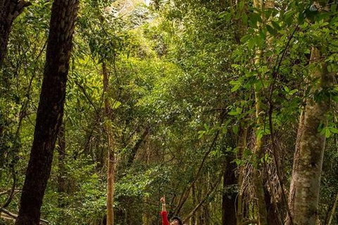 All-Inclusive Blue Mountains Day Trip With River Cruise - Stayed 26