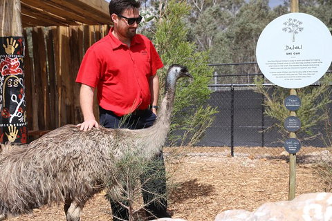 All-Inclusive Blue Mountains Day Trip With River Cruise - Stayed 24