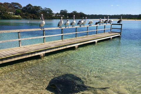 The Eurobodalla Experience (Full Day Private Tour Including Lunch) - Stayed 2
