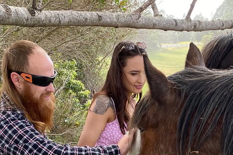 The Eurobodalla Experience (Full Day Private Tour Including Lunch) - Stayed 23