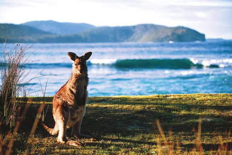 The Eurobodalla Experience (Full Day Private Tour Including Lunch) - Stayed 7