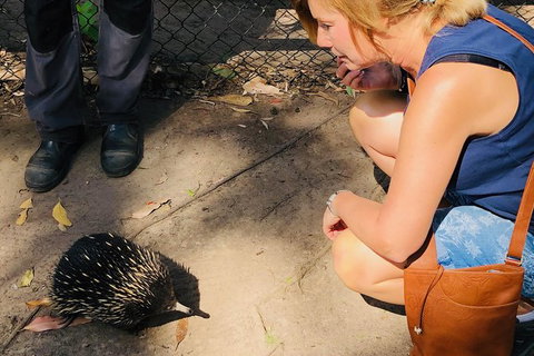 The Eurobodalla Experience (Full Day Private Tour Including Lunch) - Stayed 18