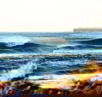 7-Day Byron Bay Evans Head and Moonee Beach Surf Safari from Brisbane Gold Coast or Byron Bay - Stayed