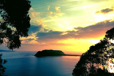 Palm Beach And Pittwater Kayak Tours - Stays Accommodation 0