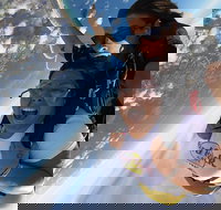 Coffs Harbour Ground Rush or Max Freefall Tandem Skydive on the Beach - Stayed