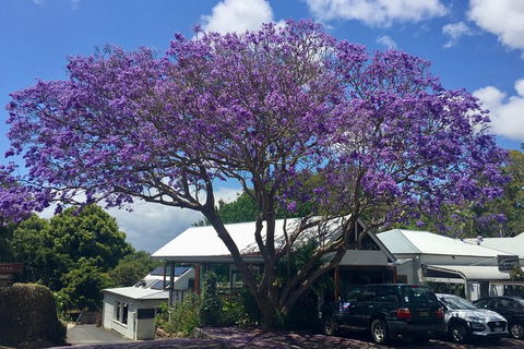 Byron Bay And Beyond Tour Including Cape Bryon Lighthouse Crystal Castle And Bangalow - Stayed 3