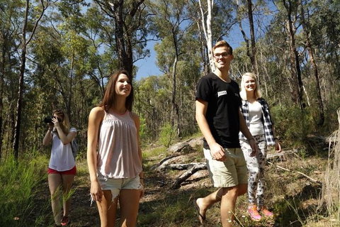 Stray Australia: Blue Mountains - Day Tour - Stays Accommodation 1