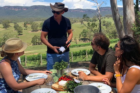 Luxury Blue Mountains Tour With Aussie BBQ Lunch And Wine Tasting - Stayed 0