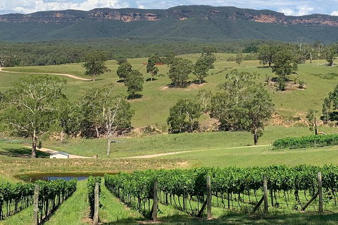 Luxury Blue Mountains Tour With Aussie BBQ Lunch And Wine Tasting - Stayed 5