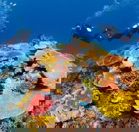 Agincourt Reef - Stays Accommodation