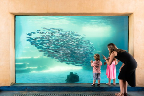 AQWA The Aquarium Of Western Australia - Stays Accommodation 0