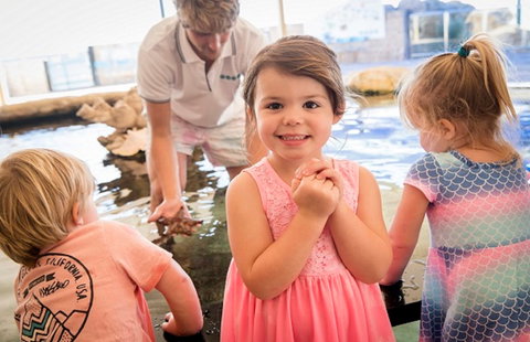 AQWA The Aquarium Of Western Australia - Stays Accommodation 2