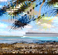 Arrawarra-Corindi Beach - Stayed