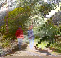 Arthurs Seat Circuit Walk - Stayed