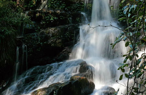 Bangalore Falls Walking Track - Stayed 0