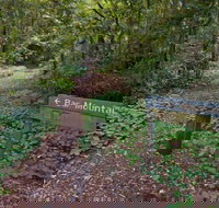 Bar Mountain circuit - Stayed