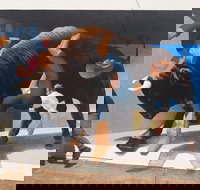 Big Bull Mural - Stayed