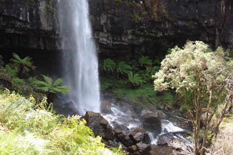 Bindaree Falls - Stayed 1