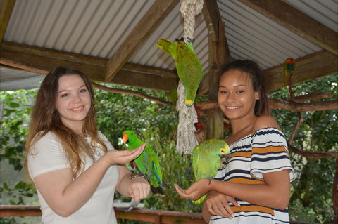 Birdworld Kuranda - Stayed 0