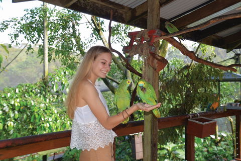 Birdworld Kuranda - Stayed 2