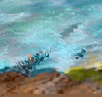 Birdwatching on the Fraser Coast - Stayed