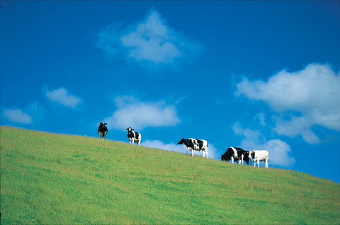 Bridgetown - Stayed 0