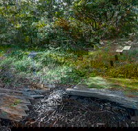 Browns Forest Loop Trail - Stayed