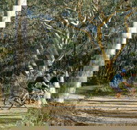 Bundanoon cycling route - Stayed