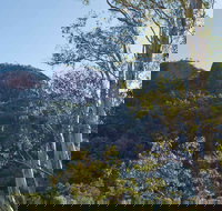 Canyon Picnic Area - Stayed