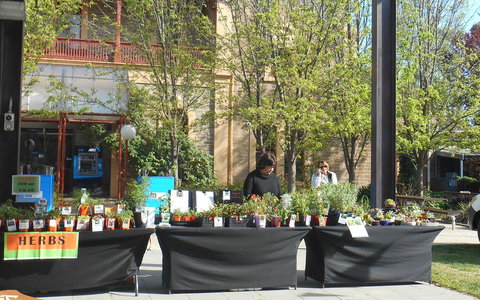 Clare Show Market - Stayed 0