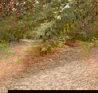 Daleys Point Walking Track - Stayed