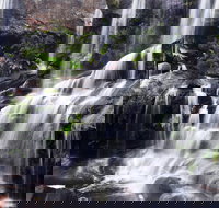 Darkes Forest - Stayed