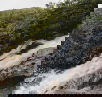 Davies Creek National Park and Dinden National Park - Stays Accommodation