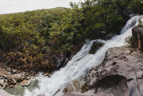 Davies Creek National Park And Dinden National Park - Stayed 0