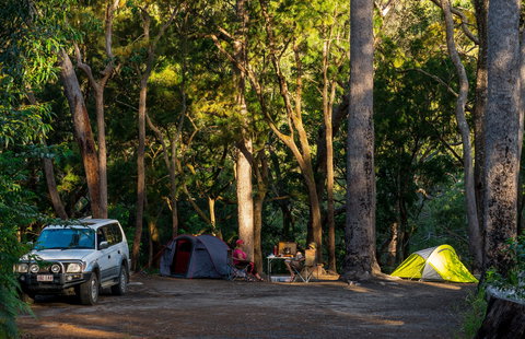 Davies Creek National Park And Dinden National Park - Stayed 1