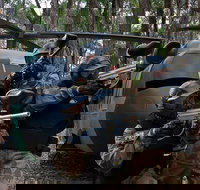 Delta Force Paintball Appin - Stayed