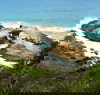 Diamond Head Loop Walk - Stayed