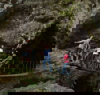 Dig the Tropic - Stayed