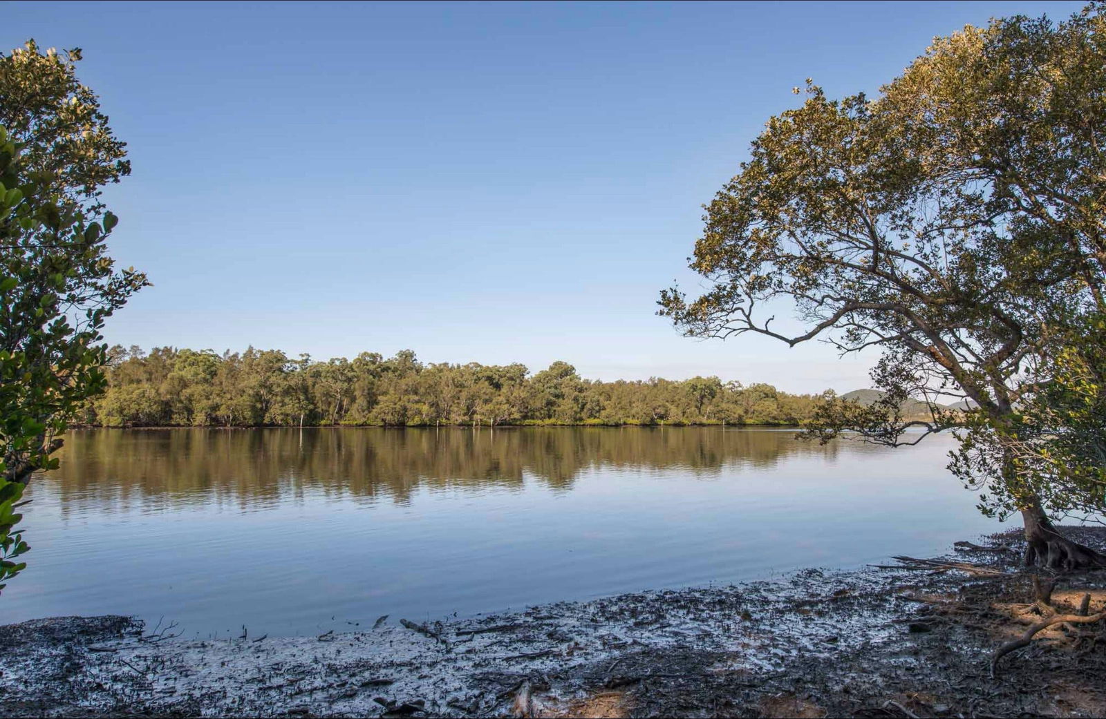 Limeburners Creek NSW Stayed