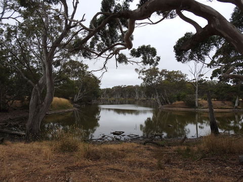 Duck Lagoon - Stayed 0