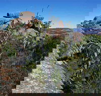 Evans Crown Nature Reserve - Stayed