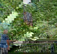 Grandis Picnic Area - Stayed