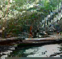 Great Beach Drive - 3 Day Itinerary - Stayed