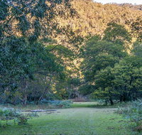 Griffins walking track - Stayed