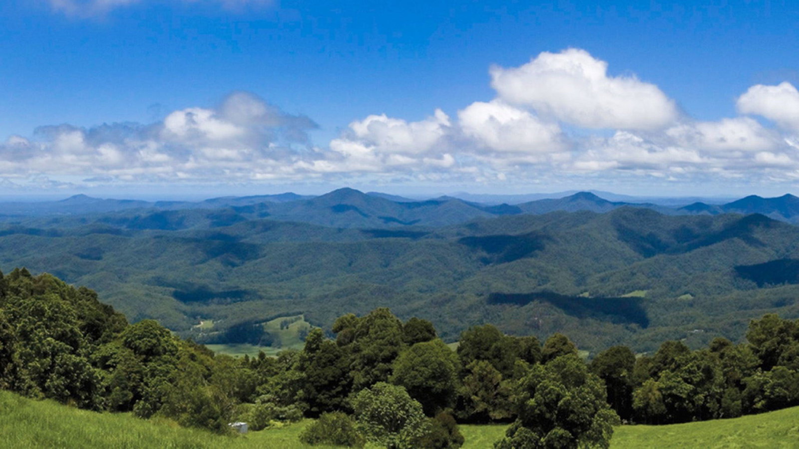 North Dorrigo NSW Stayed