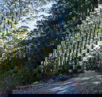 Hastings Forest Way Touring Route - Stayed