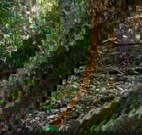 Hidden Treasure Track - Stays Accommodation