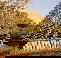 Illamurta Springs Conservation Reserve - Stayed