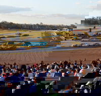 Ipswich Motorsport Precinct - Stayed